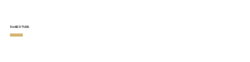 Kováč & Polák logo